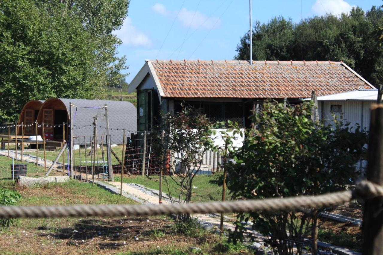 Holiday park Casa Da Avo Miquinhas Pacos de Ferreira